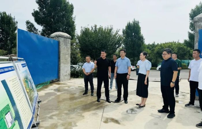 管网平差项目.jpg