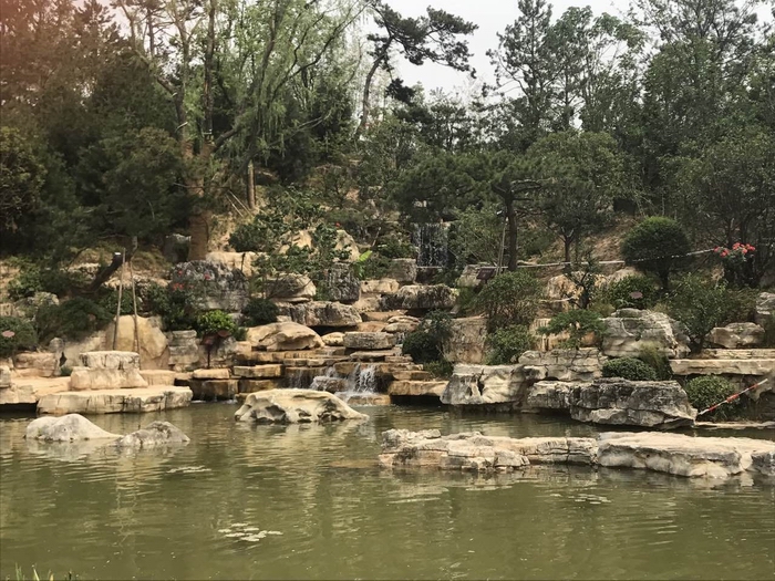 QQ图片20170619144927.jpg